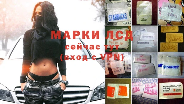 гидра Аркадак