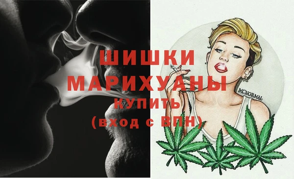соль ск Семилуки
