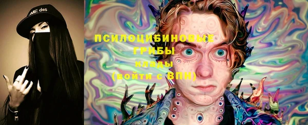 гидропоника Алзамай
