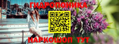 индика Нарткала