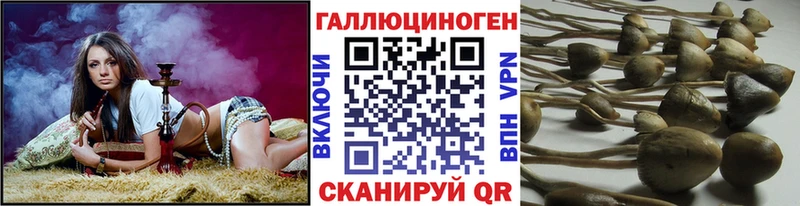 Псилоцибиновые грибы GOLDEN TEACHER дарнет шоп Глазов