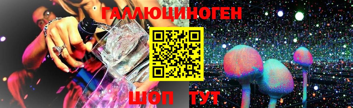 где найти наркотики  Псилоцибиновые грибы GOLDEN TEACHER  Вход с VPN  Глазов  Псилоцибиновые грибы Magic Shrooms 